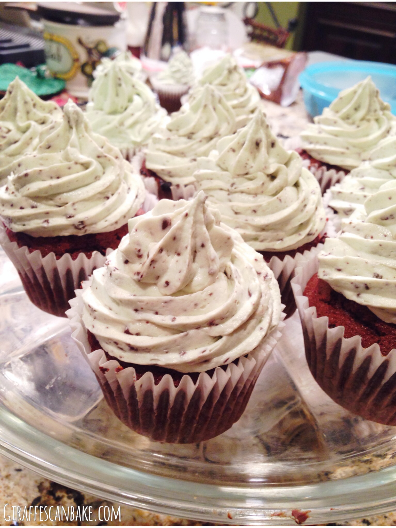 Mint Chocolate Chip Ice Cream Frosting A Tipsy Giraffe