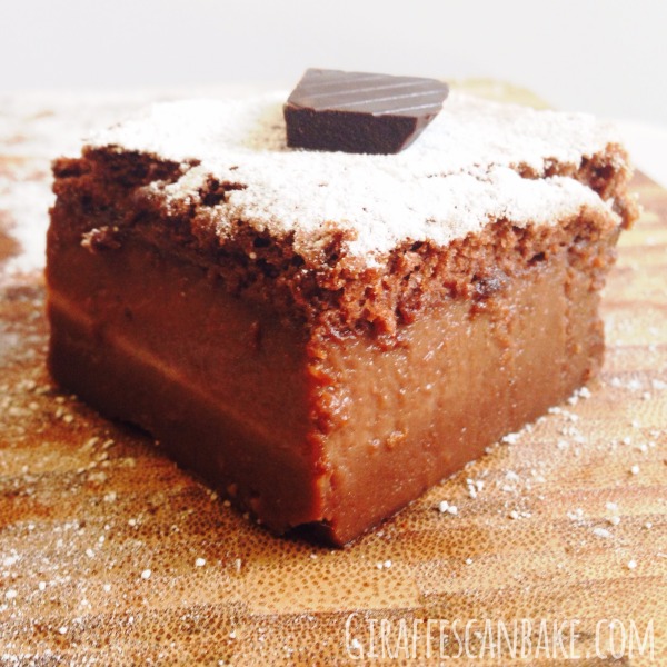 Chocolate Magic Custard Cake